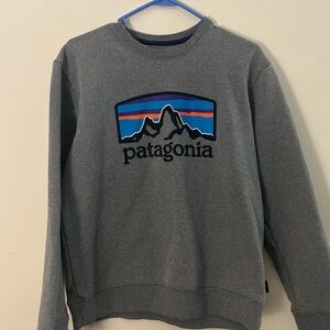 Patagonia Men's Gray Crewneck Sweater